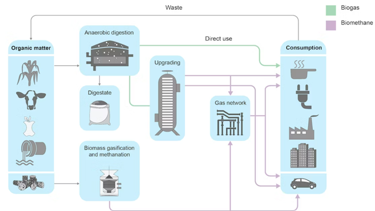 Flow diagram for Biogas and biomethane production pathways