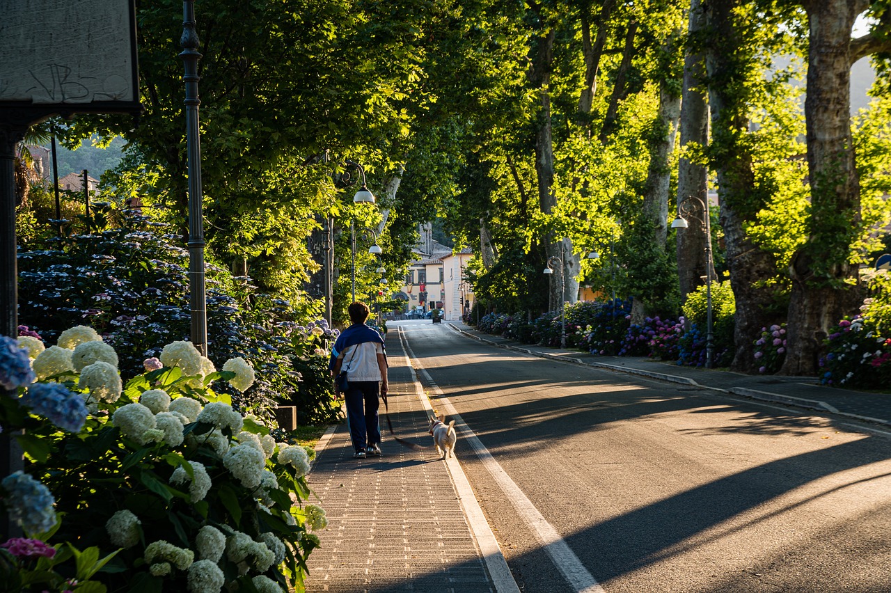 nature style street towards the city, among trees and flowers